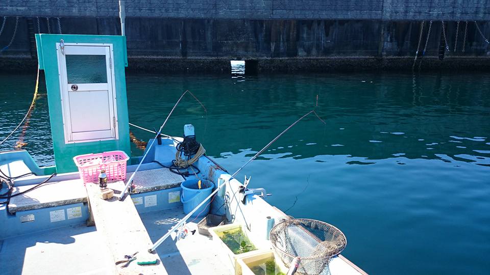 グレ釣りのロッドについて