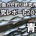保護中: 浅海・青物釣りレポート（2023）