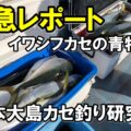 保護中: 緊急レポート（イワシフカセの青物釣り)
