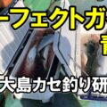 保護中: 串本のカセ釣り・パーフェクトガイド・青物
