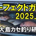 保護中: パーフェクトガイド・2025上半期